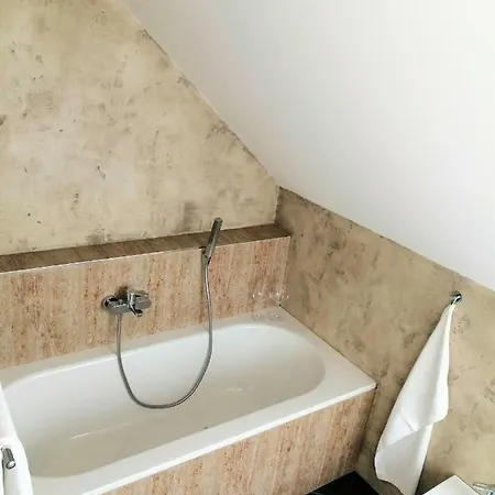 Maison d'hôtes Steakland 3*